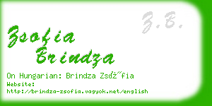 zsofia brindza business card